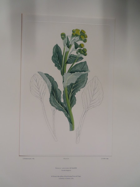 FDA-E.2916_33_21-2016 image FDA-E.2916_33_21-2016