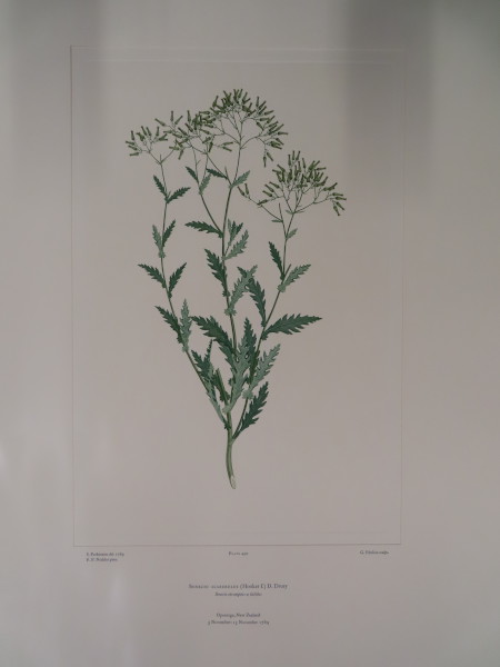 image FDA-E.2916_23_24-2016-A