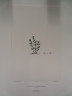 image FDA-E.2916_25_6-2016