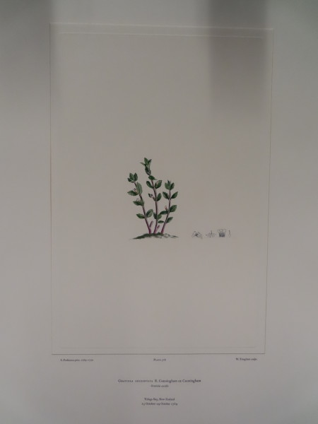 image FDA-E.2916_25_6-2016