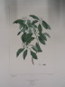 image FDA-E.2916_1_16-2016-A