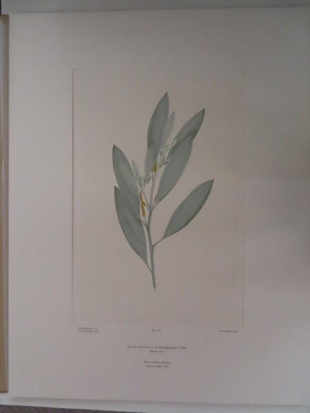 image FDA-E.2916_5_6-2016