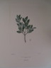 image FDA-E.2916_7_17-2016