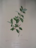 image FDA-E.2916_23_5-2016