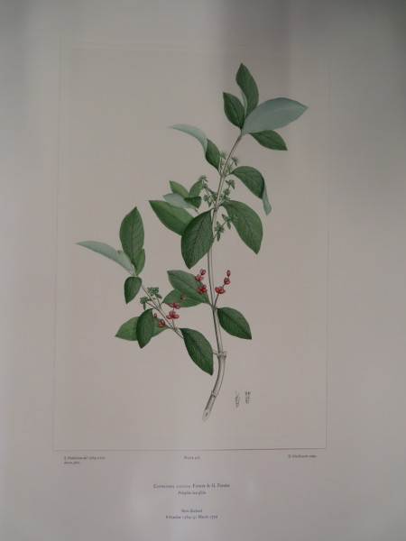 FDA-E.2916_23_5-2016 image FDA-E.2916_23_5-2016