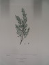 image FDA-E.2916_26_11-2016-A