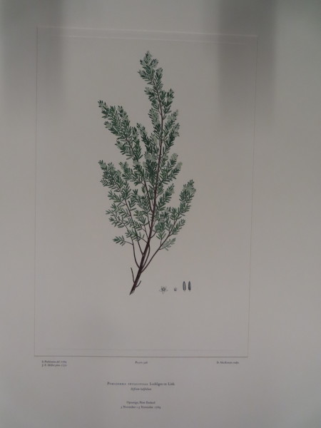 image FDA-E.2916_26_11-2016-A