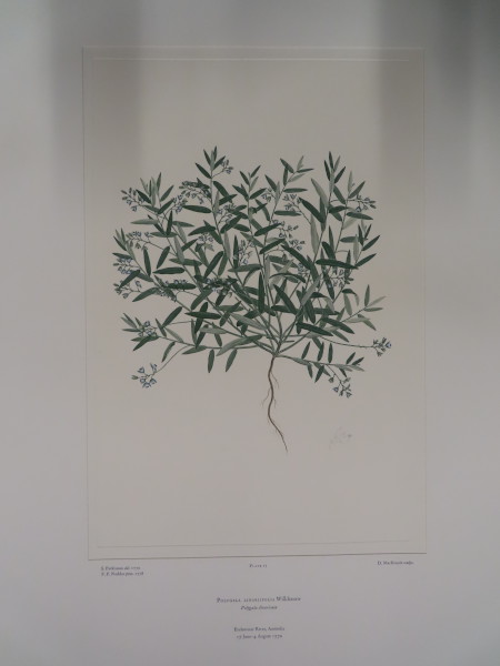 image FDA-E.2916_1_20-2016