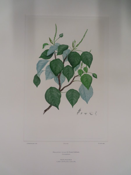 FDA-E.2916_31_5-2016-A image FDA-E.2916_31_5-2016-A