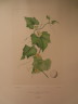 image FDA-E.2916_28_25-2016