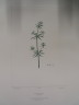 image FDA-E.2916_33_9-2016-A