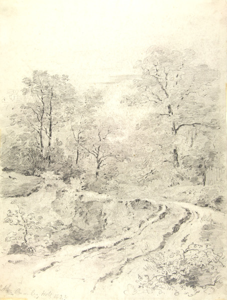 image FDA-D.343-2010