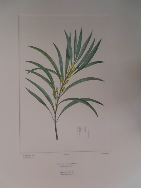 image FDA-E.2916_13_5-2016-A