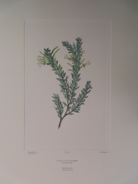 FDA-E.2916_9_14-2016-A image FDA-E.2916_9_14-2016-A