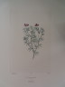 image FDA-E.2916_3_15-2016-A