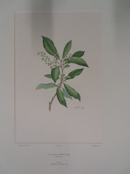 FDA-E.2916_19_7-2016 image FDA-E.2916_19_7-2016