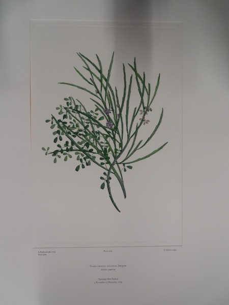 FDA-E.2916_21_9-2016 image FDA-E.2916_21_9-2016