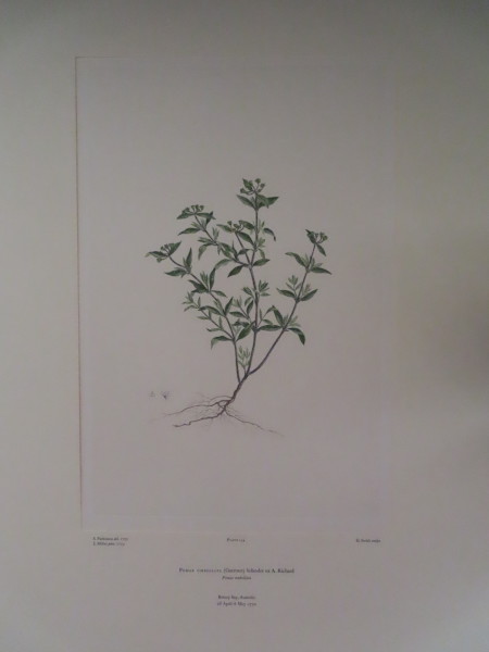 FDA-E.2916_7_22-2016-A image FDA-E.2916_7_22-2016-A