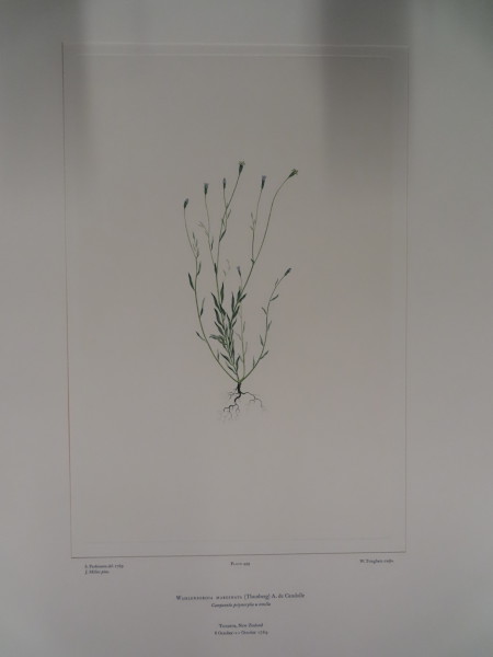 image FDA-E.2916_24_10-2016-A