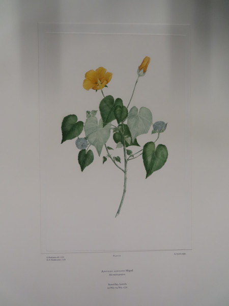 image FDA-E.2916_1_25-2016