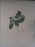 image FDA-E.2916_5_17-2016-A