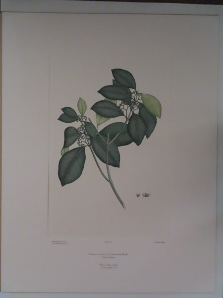 image FDA-E.2916_5_17-2016-A