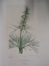 image FDA-E.2916_22_14-2016-A