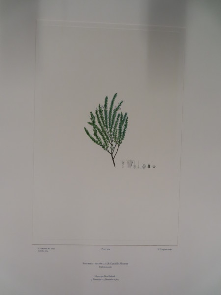 image FDA-E.2916_24_15-2016-A