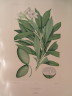 image FDA-E.2916_29_19-2016-A