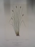 image FDA-E.2916_34_22-2016