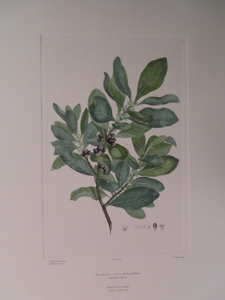 FDA-E.2916_9_24-2016-A image FDA-E.2916_9_24-2016-A