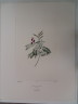 image FDA-E.2916_3_24-2016
