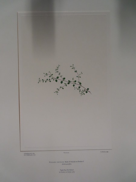 image FDA-E.2916_20_17-2016-A