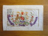 image ECL-O.53-2013