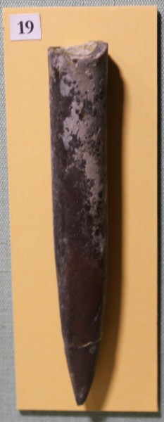image NHM.480-2017