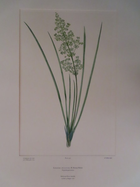 image FDA-E.2916_15_20-2016-A