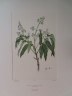 image FDA-E.2916_3_7-2016-A