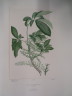 image FDA-E.2916_22_23-2016