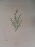 image FDA-E.2916_12_17-2016