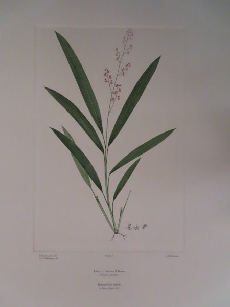 image FDA-E.2916_15_25-2016-A