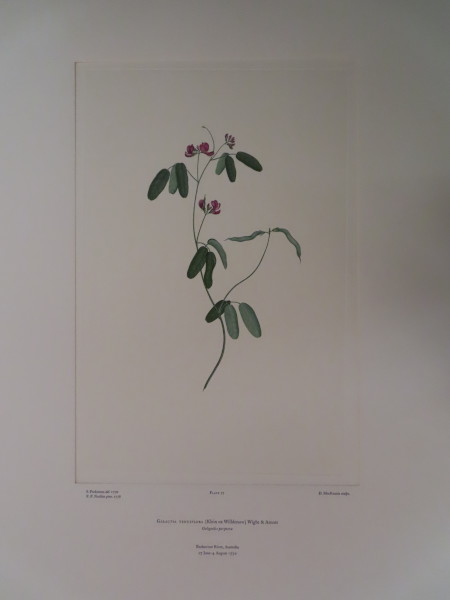image FDA-E.2916_4_13-2016-A
