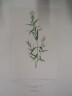 image FDA-E.2916_22_5-2016-A