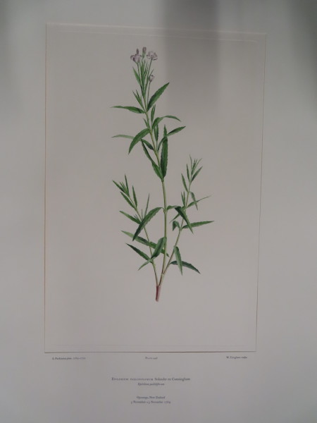 FDA-E.2916_22_5-2016-A image FDA-E.2916_22_5-2016-A