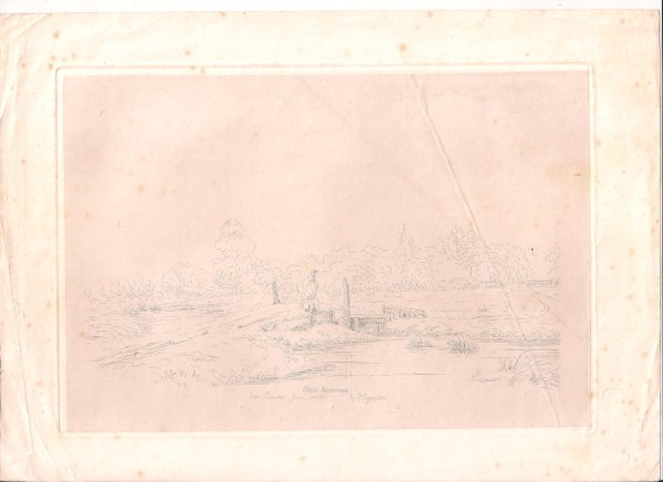 image FDA-E.3155-2020