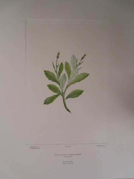 FDA-E.2916_8_16-2016-A image FDA-E.2916_8_16-2016-A