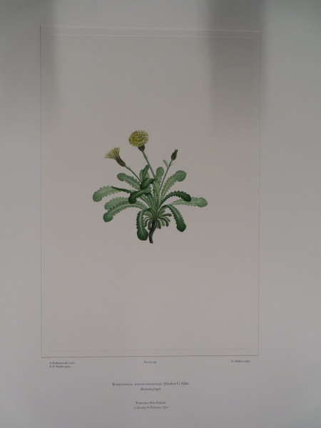 image FDA-E.2916_24_6-2016-A