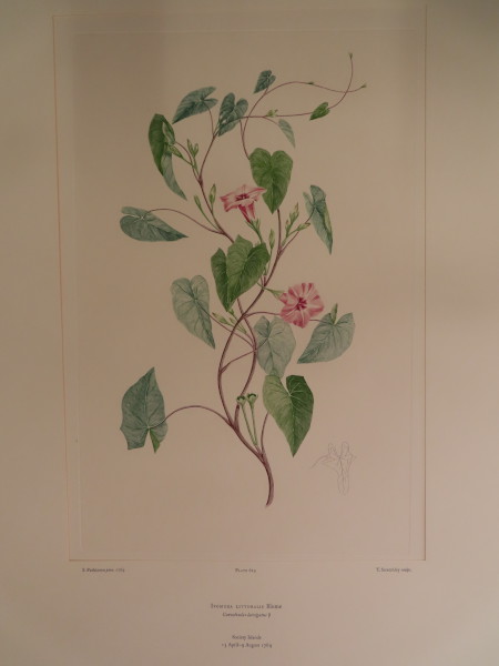 image FDA-E.2916_30_4-2016
