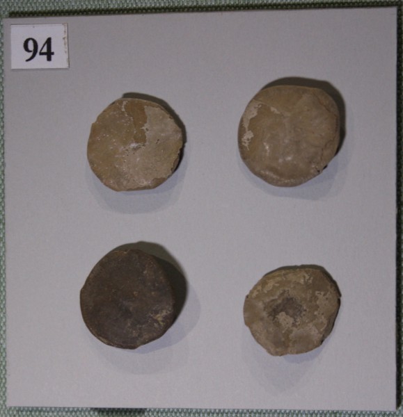 image NHM.555-2017
