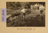 image PA-A.37_78-2012
