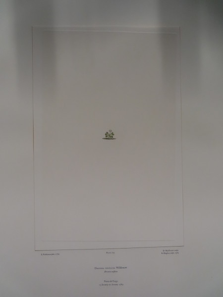 FDA-E.2916_35_8-2016 image FDA-E.2916_35_8-2016